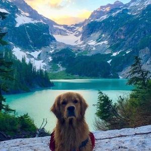 Meet your Posher, Nolan